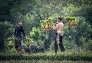 Cược Đêm Nay