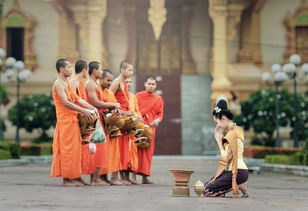 Trò chơi Sói Người và Bộ Bài Ma Thuật: Bí Mật Sau Mỗi Ván Đấu